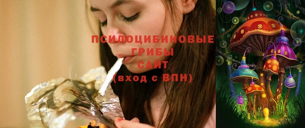 МДПВ Богданович